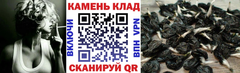 ГАШ ice o lator  блэк спрут ТОР  Юхнов 