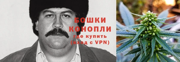 спиды Бронницы