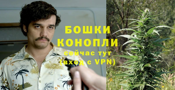 спиды Бронницы