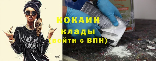 spice Бородино