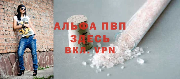 spice Бородино