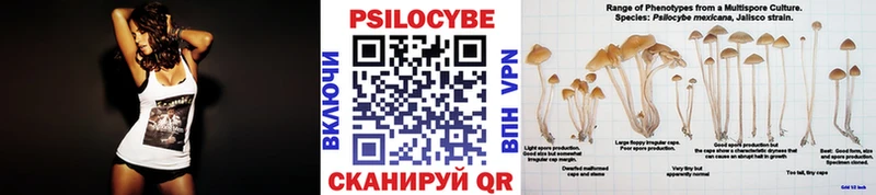 где купить наркоту  Юхнов  площадка официальный сайт  Псилоцибиновые грибы Magic Shrooms 